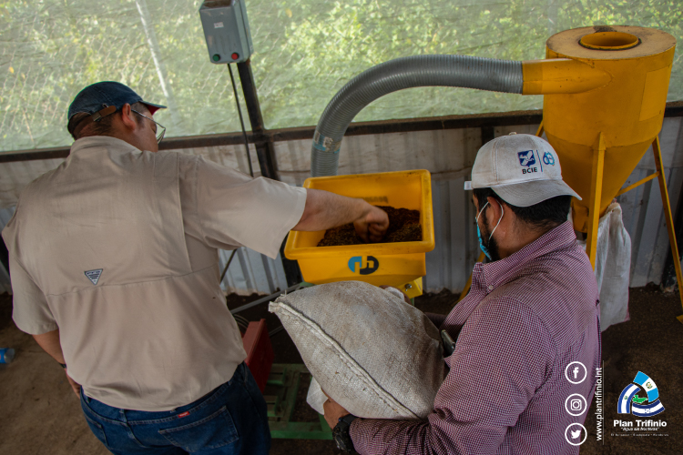 Producción de fertilizante Orgánico