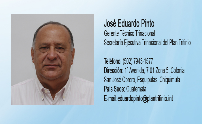 Eduardo Pinto1